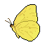 Yellow pixel butterfly